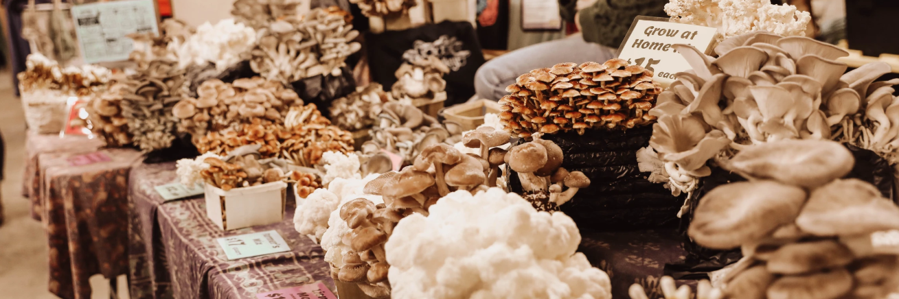 Fungi Festival Vendor