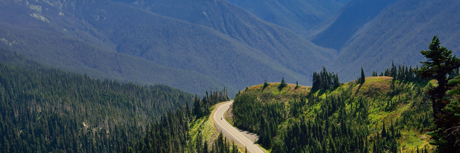 Hurricane Ridge Drive