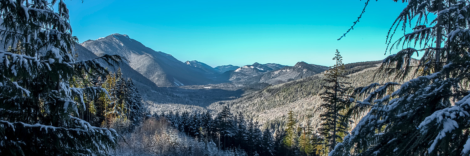 Winter in Olympic National Park