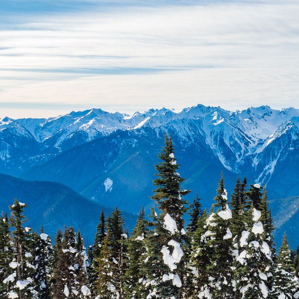 Olympic National Park