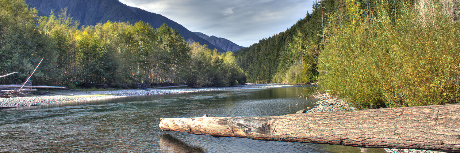 Elwha River in Olympic National Park