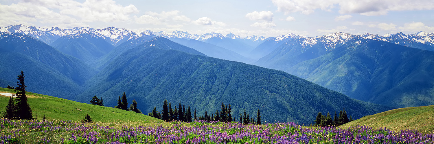 Views from the Hurricane Ridge