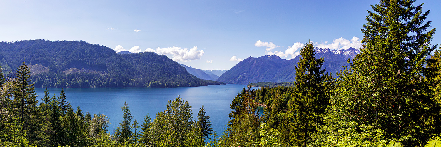 Lake Cushman