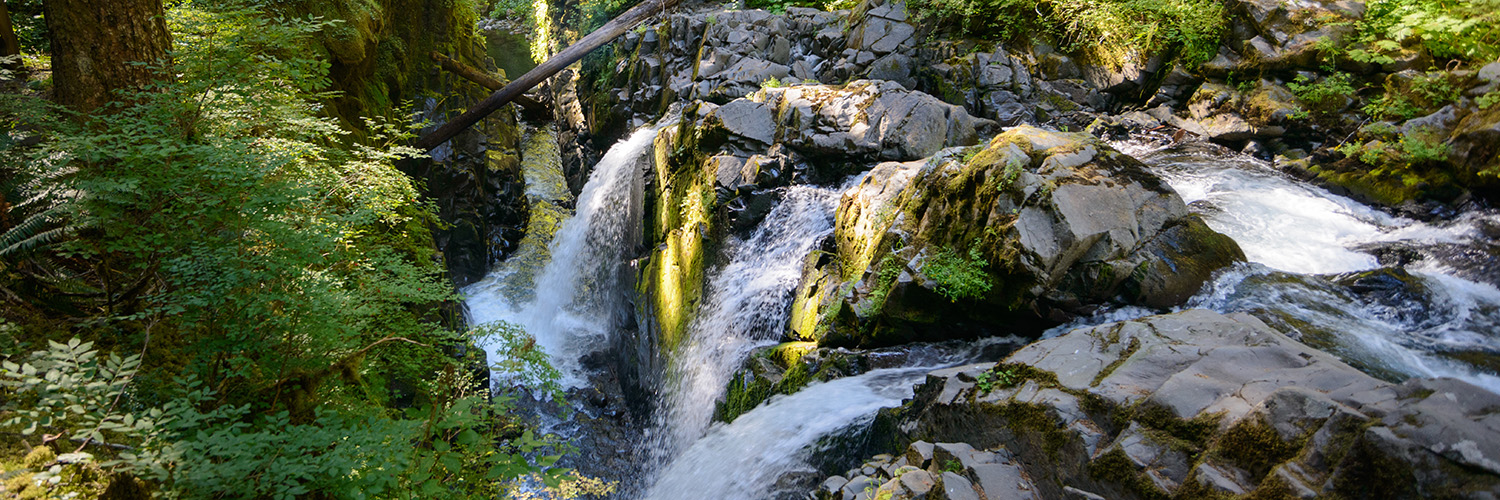 Sol Duc Falls