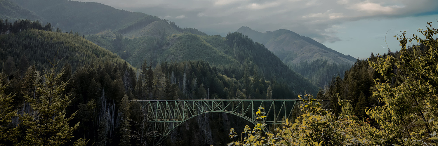 The Vance Creek Bridge