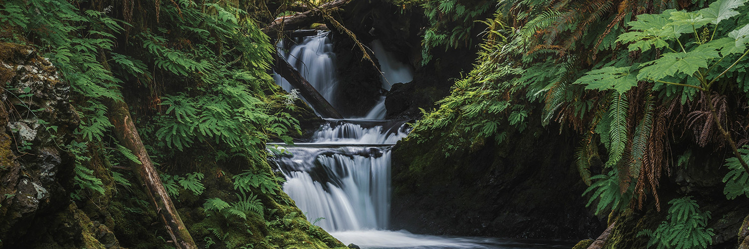 Willaby Creek Falls