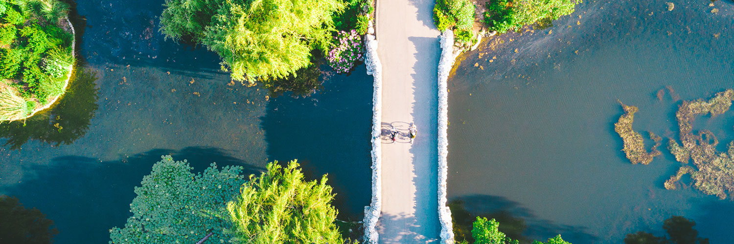 aerial of bikers in Beacon Hill Park