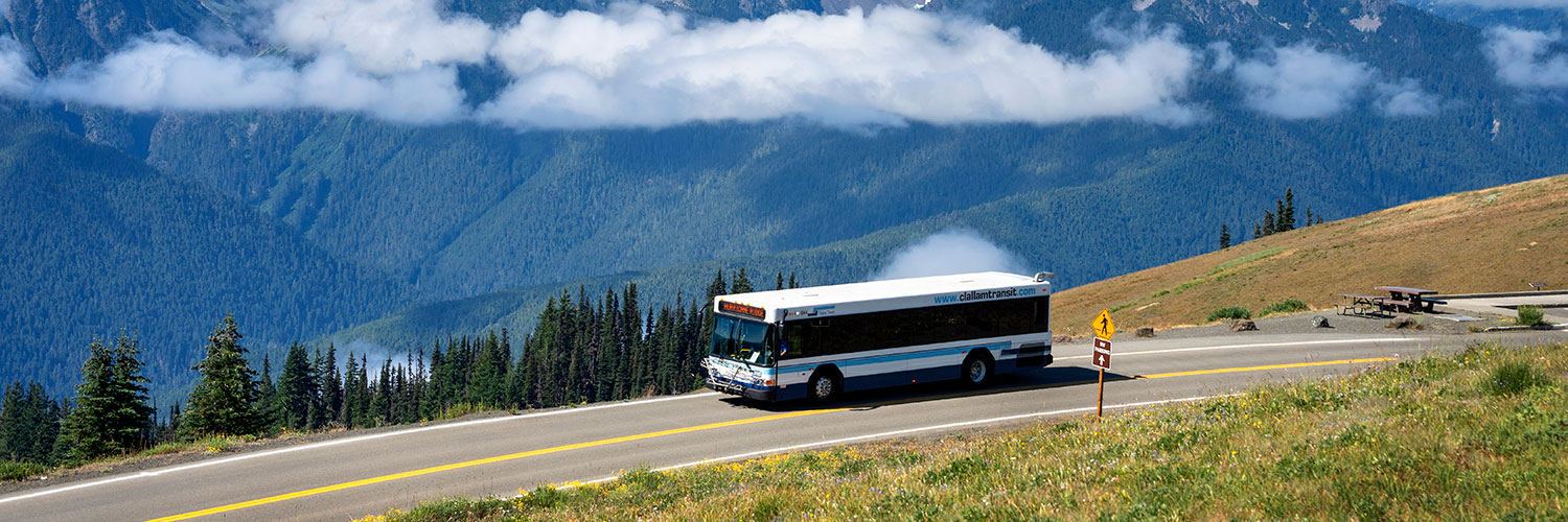 Hurricane Ridge Mountain Views