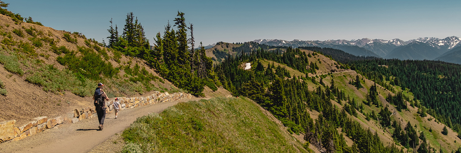 Hurricane Ridge Trails