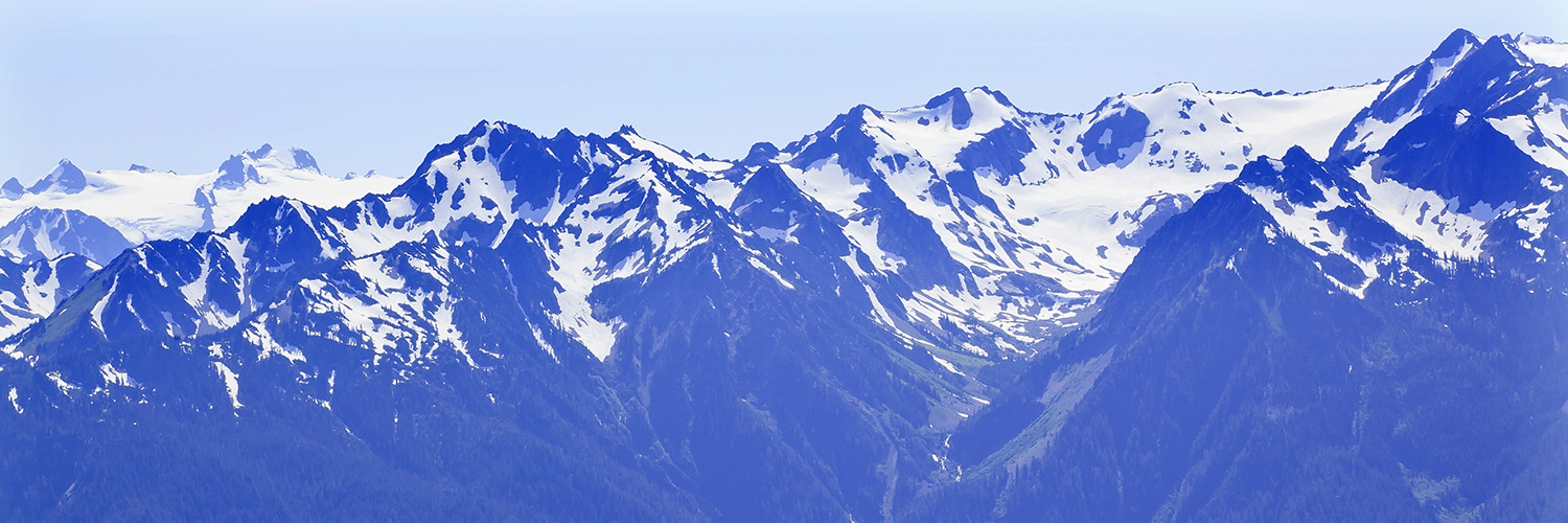 Hurricane Ridge Mountain Views