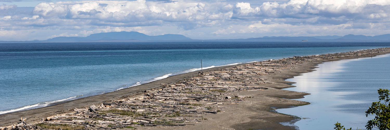 Dungeness Spit