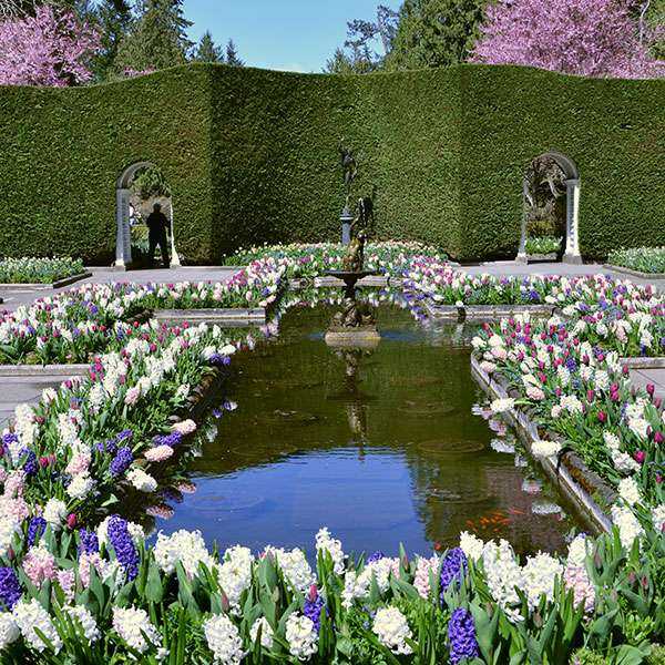 Victoria and Butchart Gardens