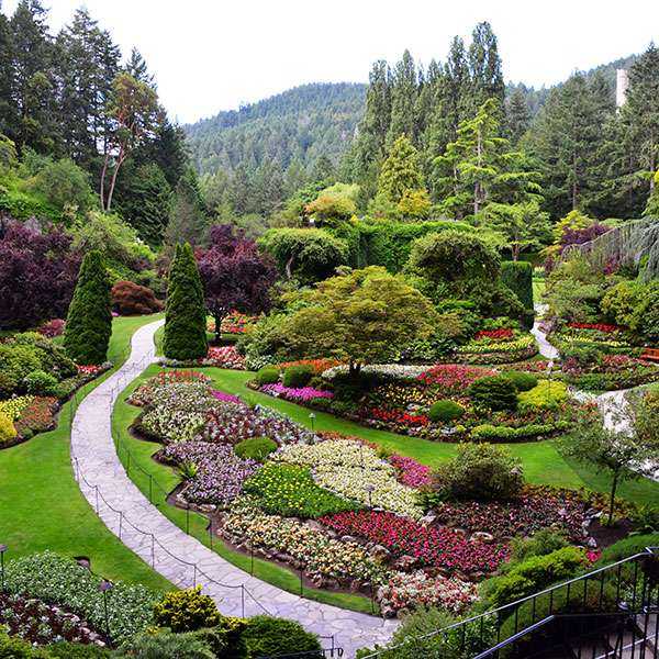 butchart gardens tour bus