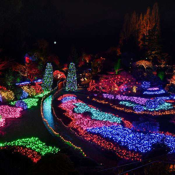 butchart gardens tour bus