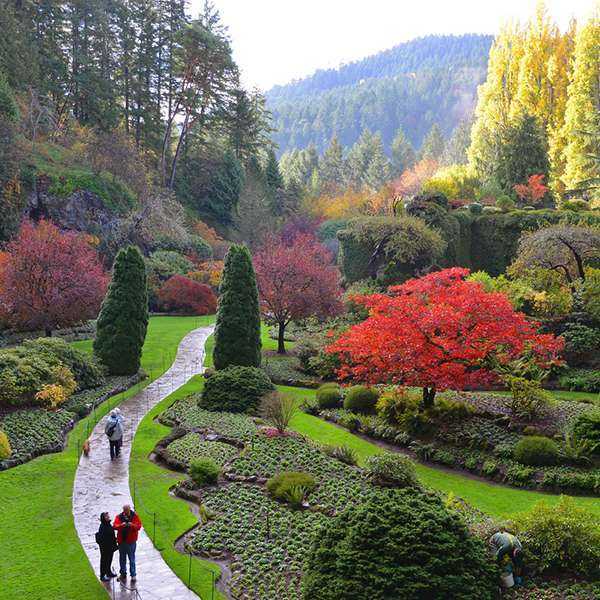 The Butchart Gardens with Shuttle Transportation and Ferry | Black Ball Ferry Line | Daily