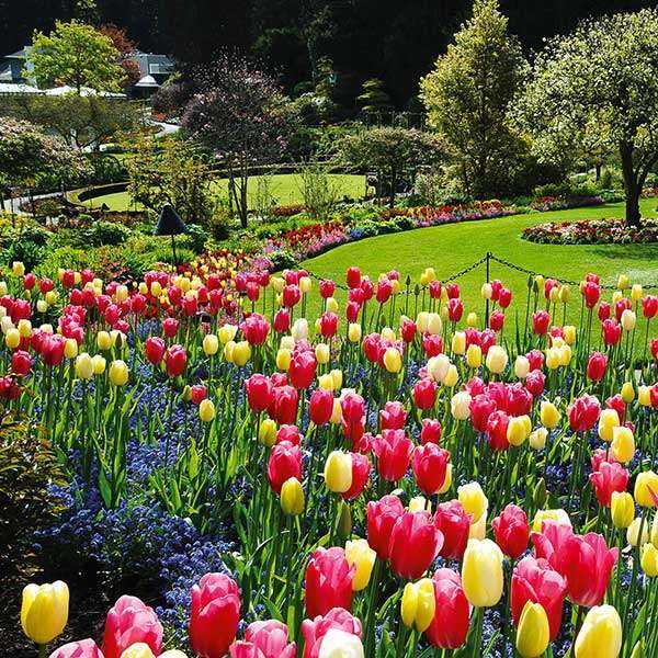 The Butchart Gardens with Shuttle Transportation and Ferry | Black Ball Ferry Line | Daily