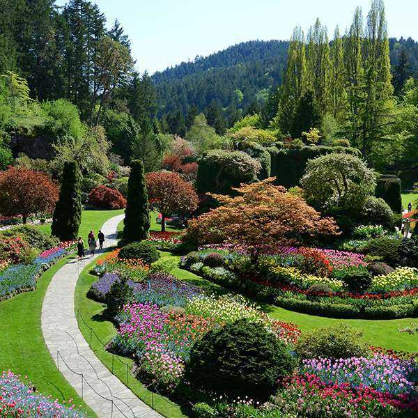 The Butchart Gardens with Round-trip Shuttle from Downtown Victoria and ...