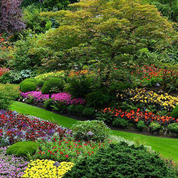 The Butchart Gardens with Round-trip Shuttle from Downtown Victoria and Ferry | Black Ball Ferry