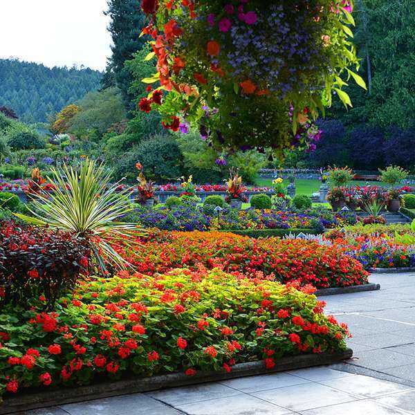 The Butchart Gardens with Round-trip Shuttle from Downtown Victoria and Ferry | Black Ball Ferry